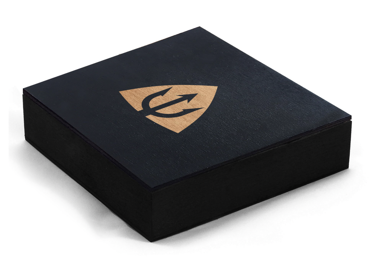 Подарочная коробочка NEPTN